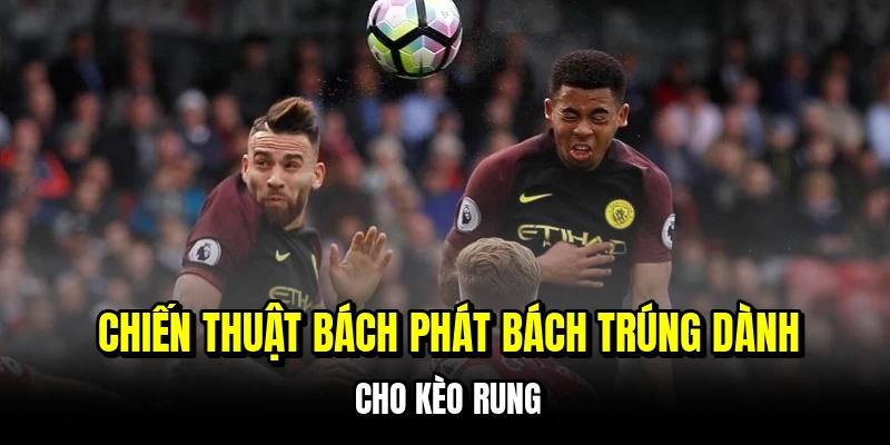 Kèo Rung - Đỉnh Cao Dự Đoán Giúp Bạn Đổi Đời Nhanh Chóng 7 Chiến thuật bách phát bách trúng dành cho kèo rung