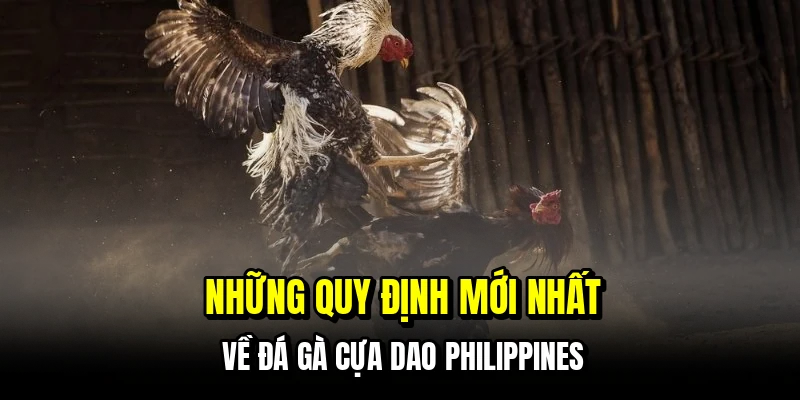Đá Gà Cựa Dao Philippines – Trường Top, Cược Chuẩn 6 Những quy định mới nhất về đá gà cựa dao Philippines